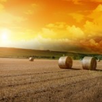 goldener-Herbst